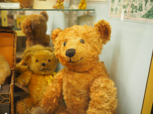 A trip out: Brighton Toy Museum