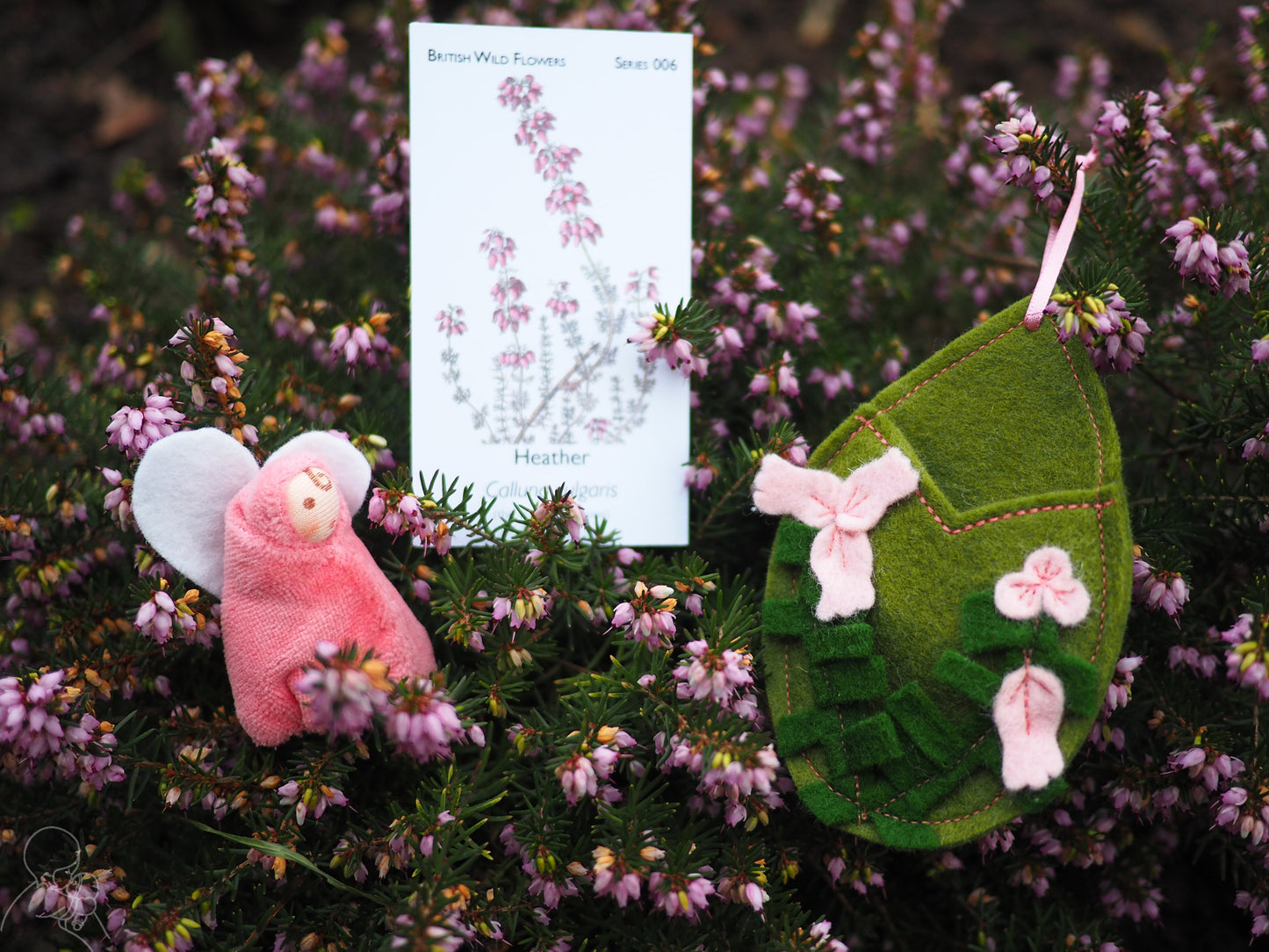 Heather flower fairy