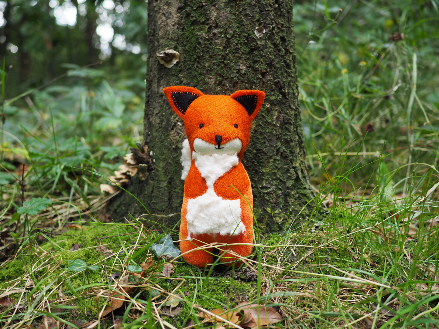 Rusty the fox