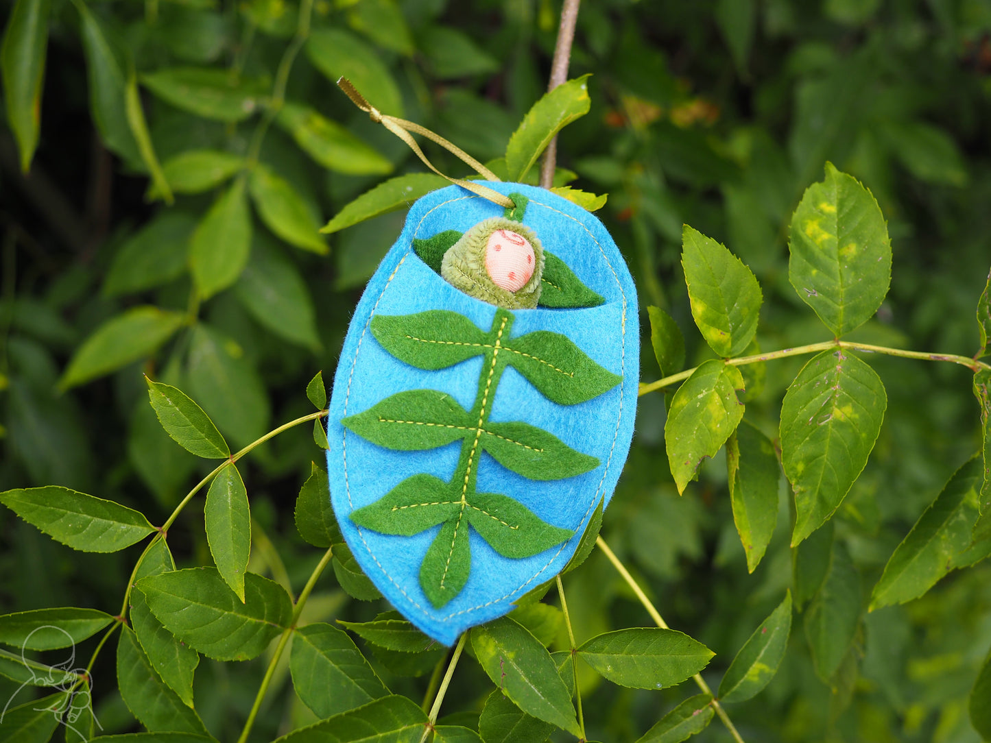 Ash leaf baby