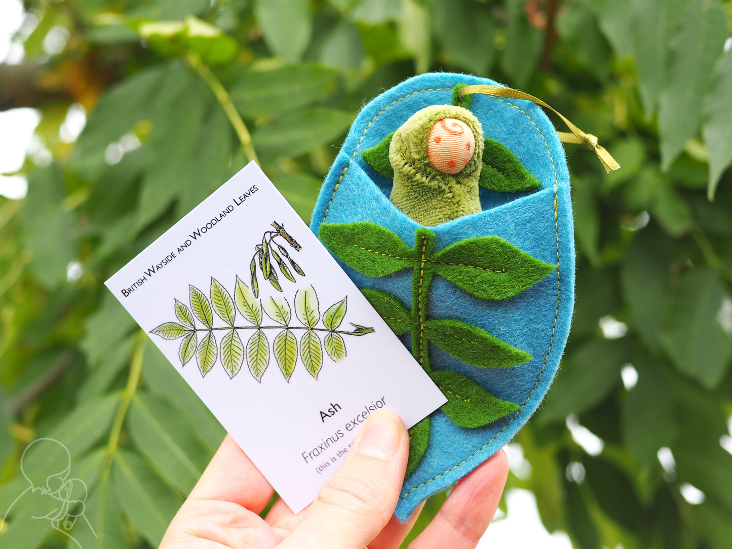Ash leaf baby
