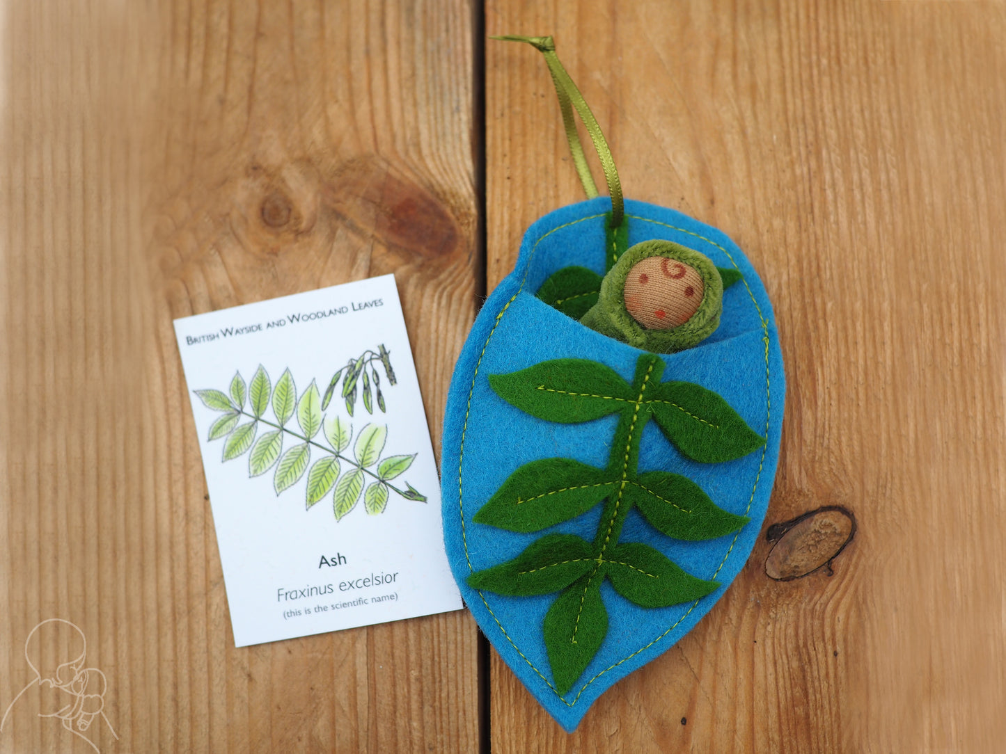 Ash leaf baby