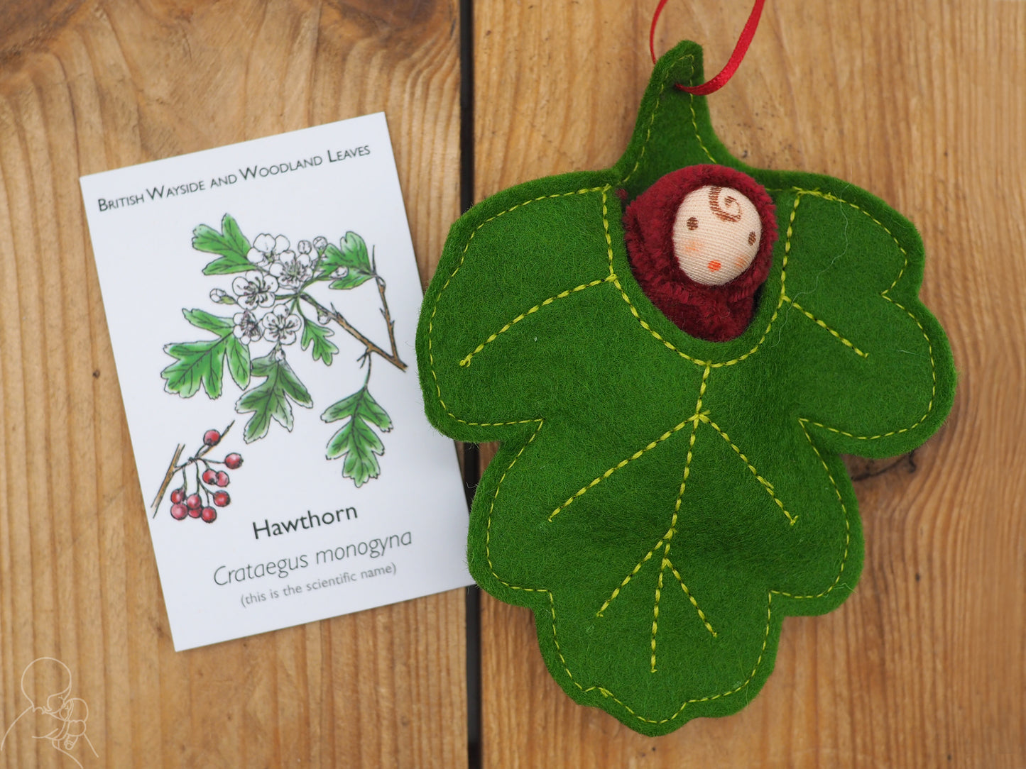 Hawthorn leaf baby