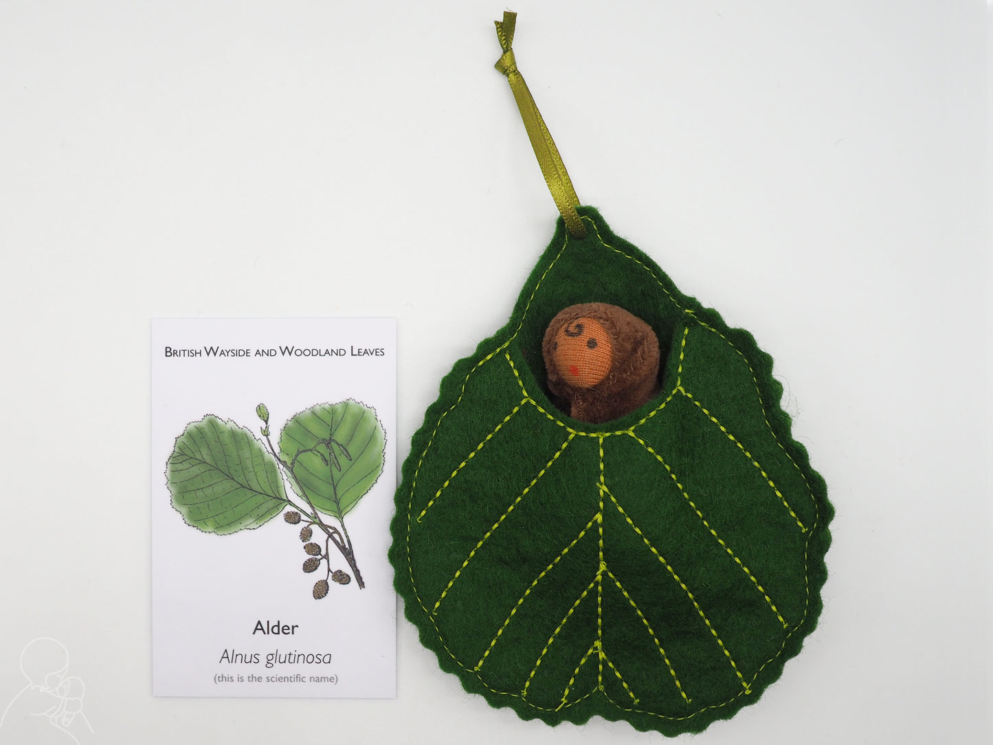 Alder leaf baby