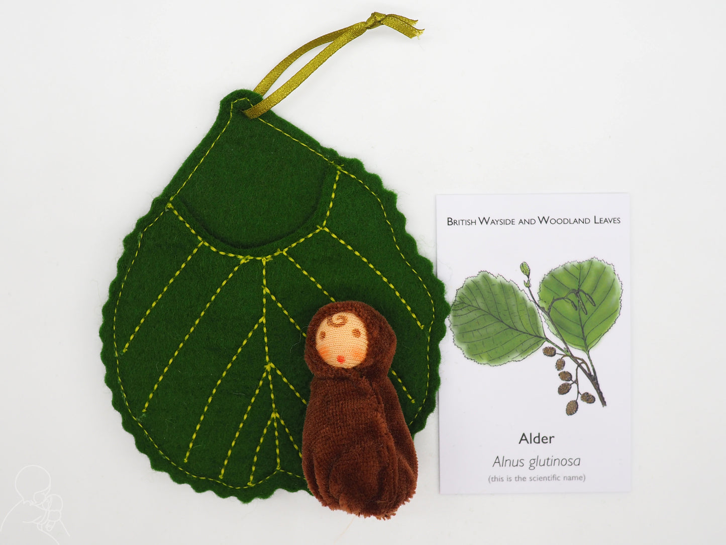 Alder leaf baby