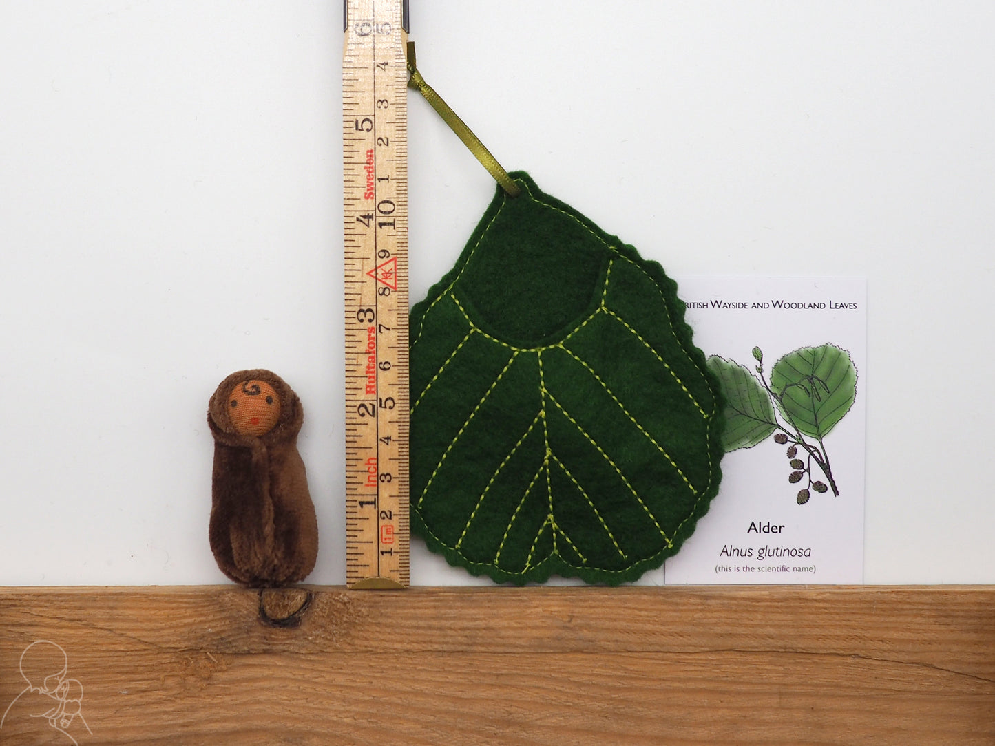 Alder leaf baby