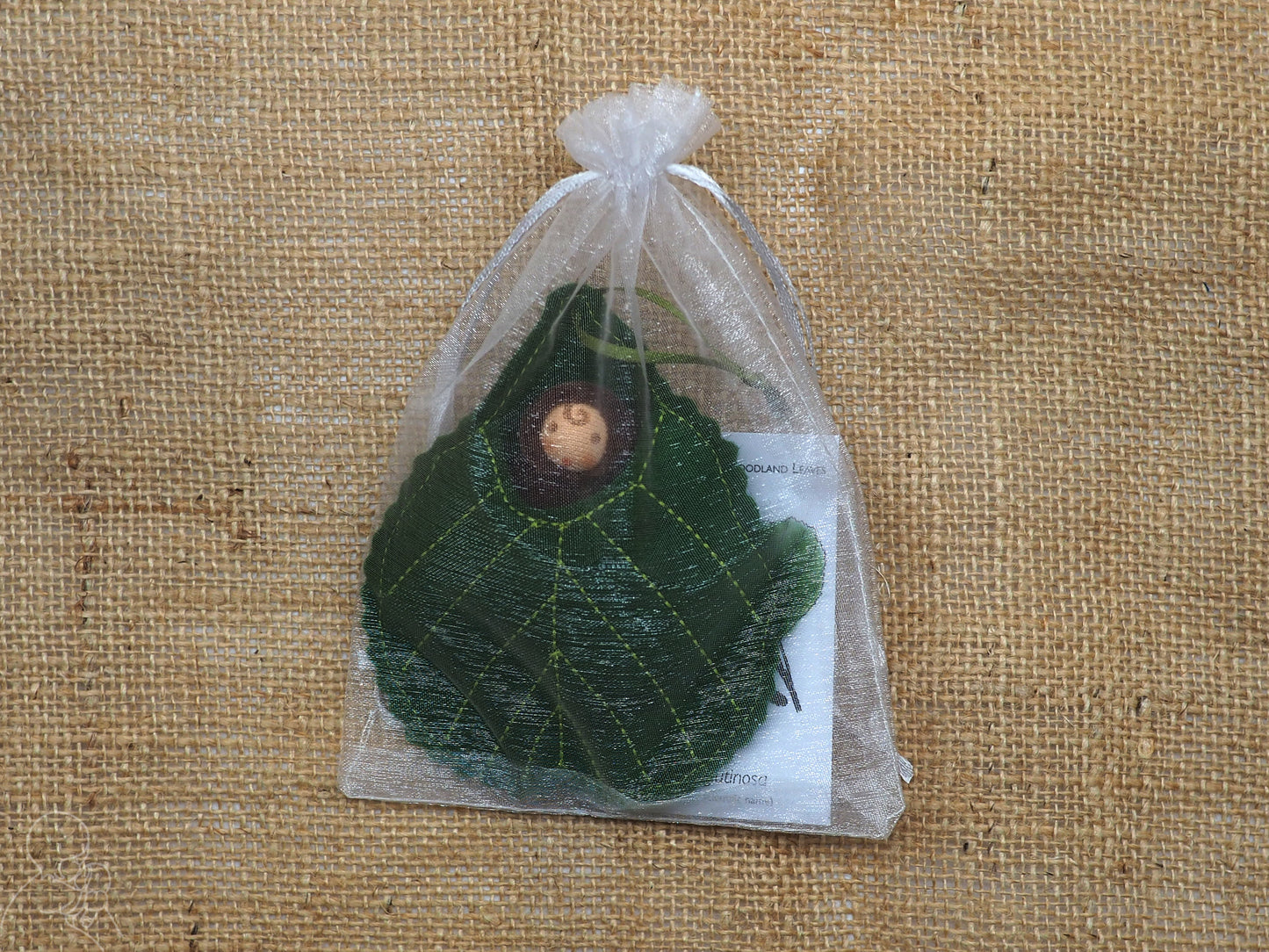 Alder leaf baby