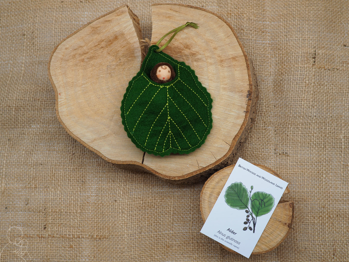 Alder leaf baby