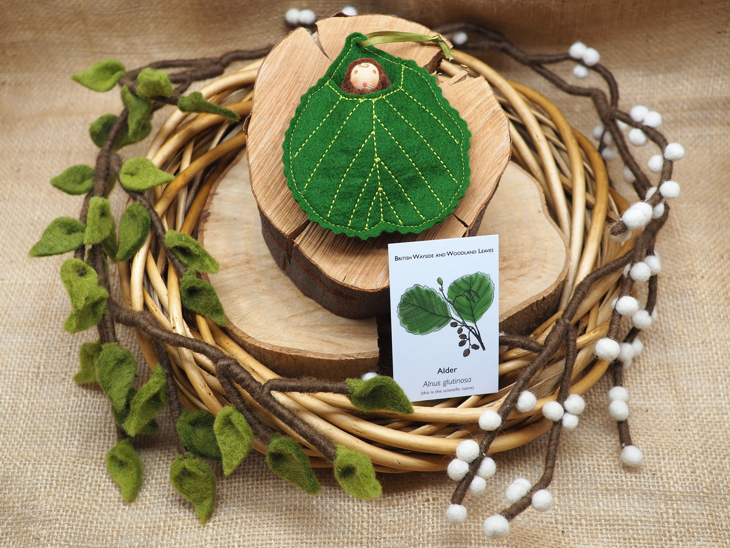 Alder leaf baby