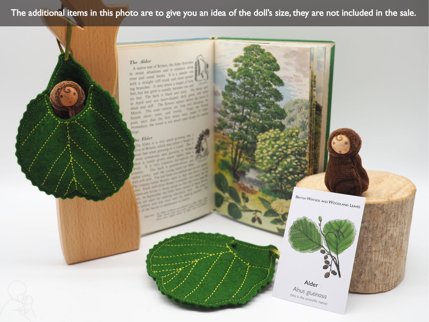 Alder leaf baby