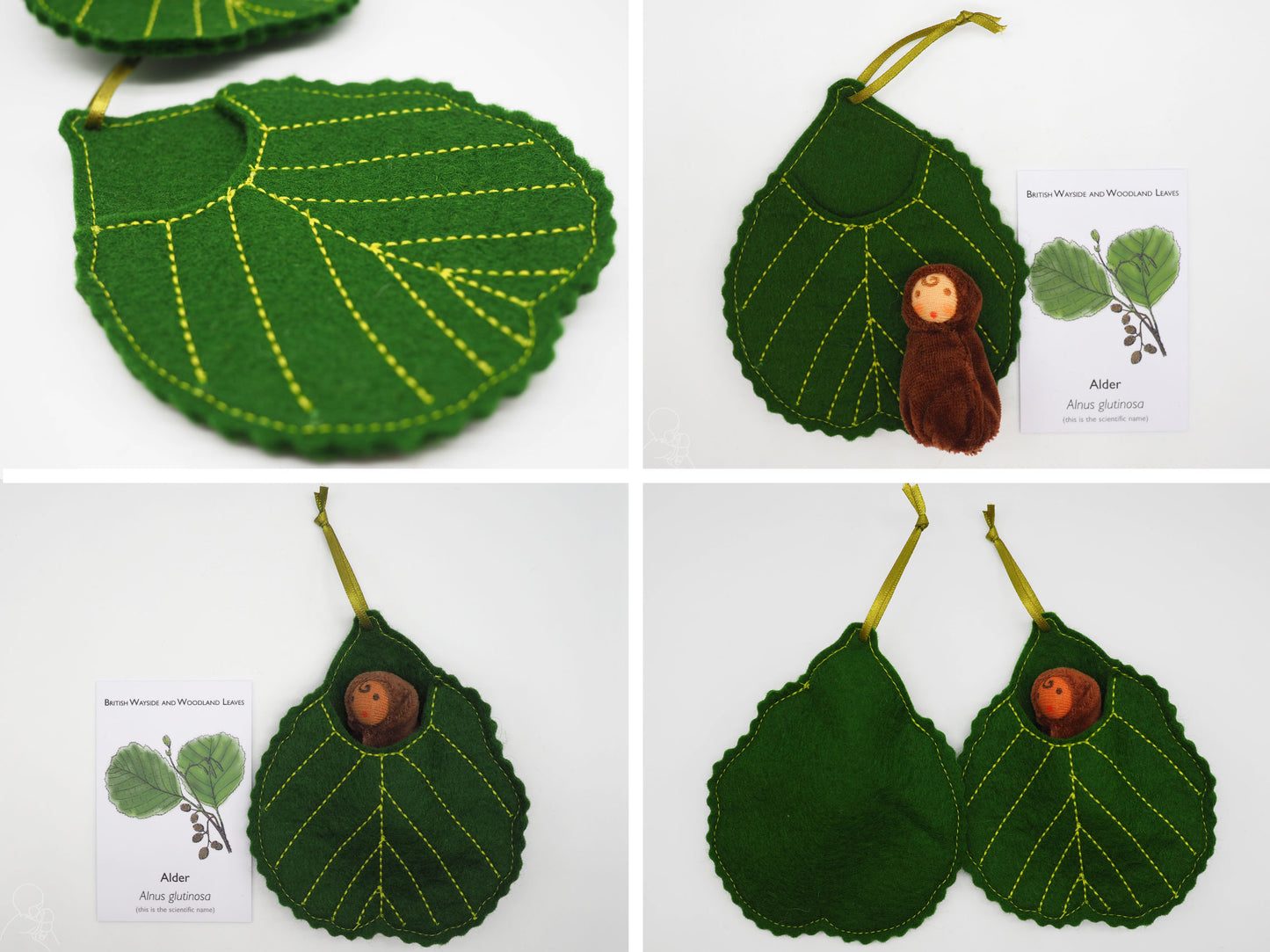 Alder leaf baby