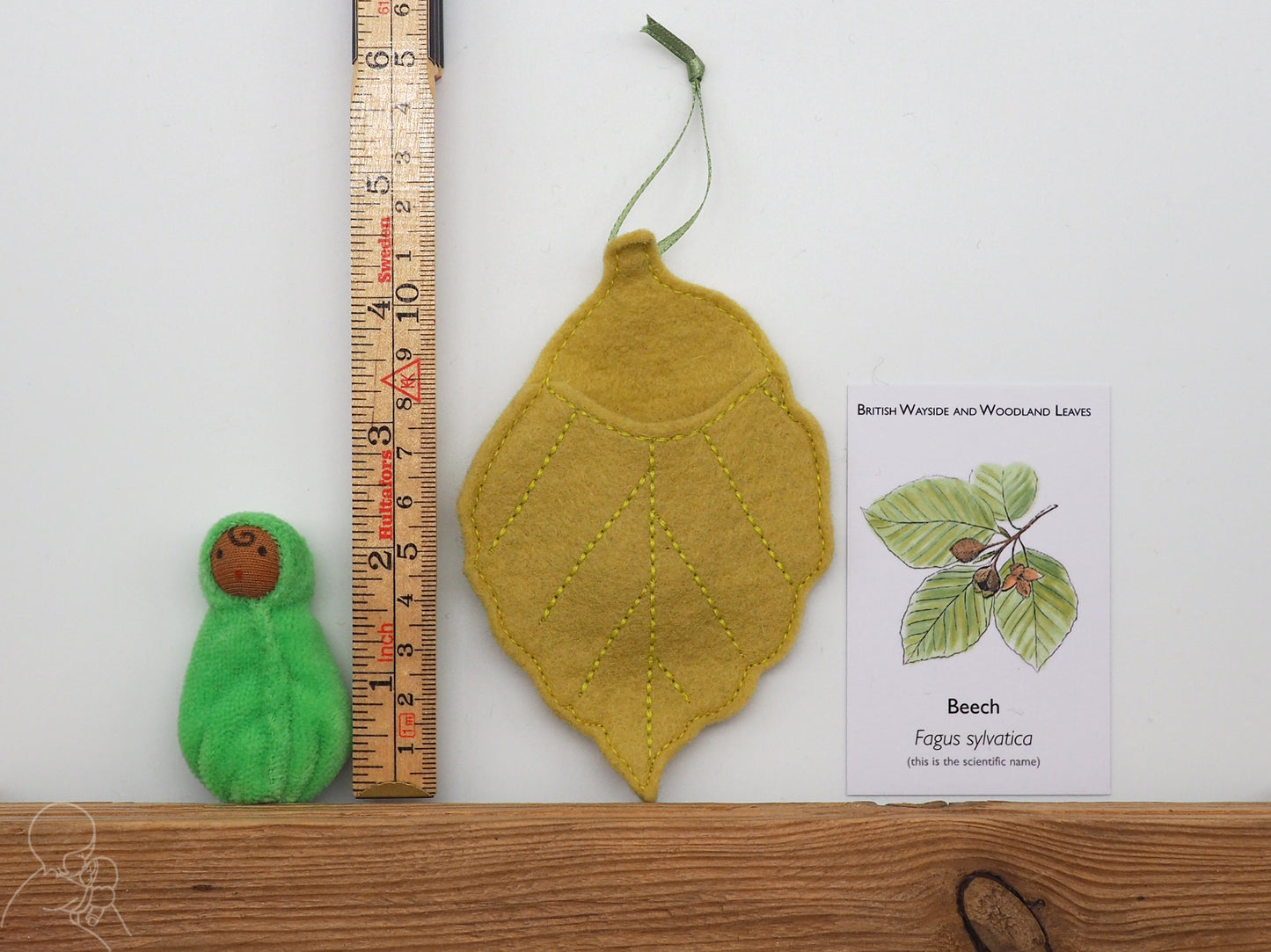 Beech leaf baby