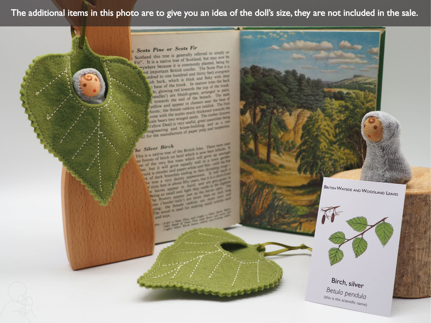 Birch leaf baby