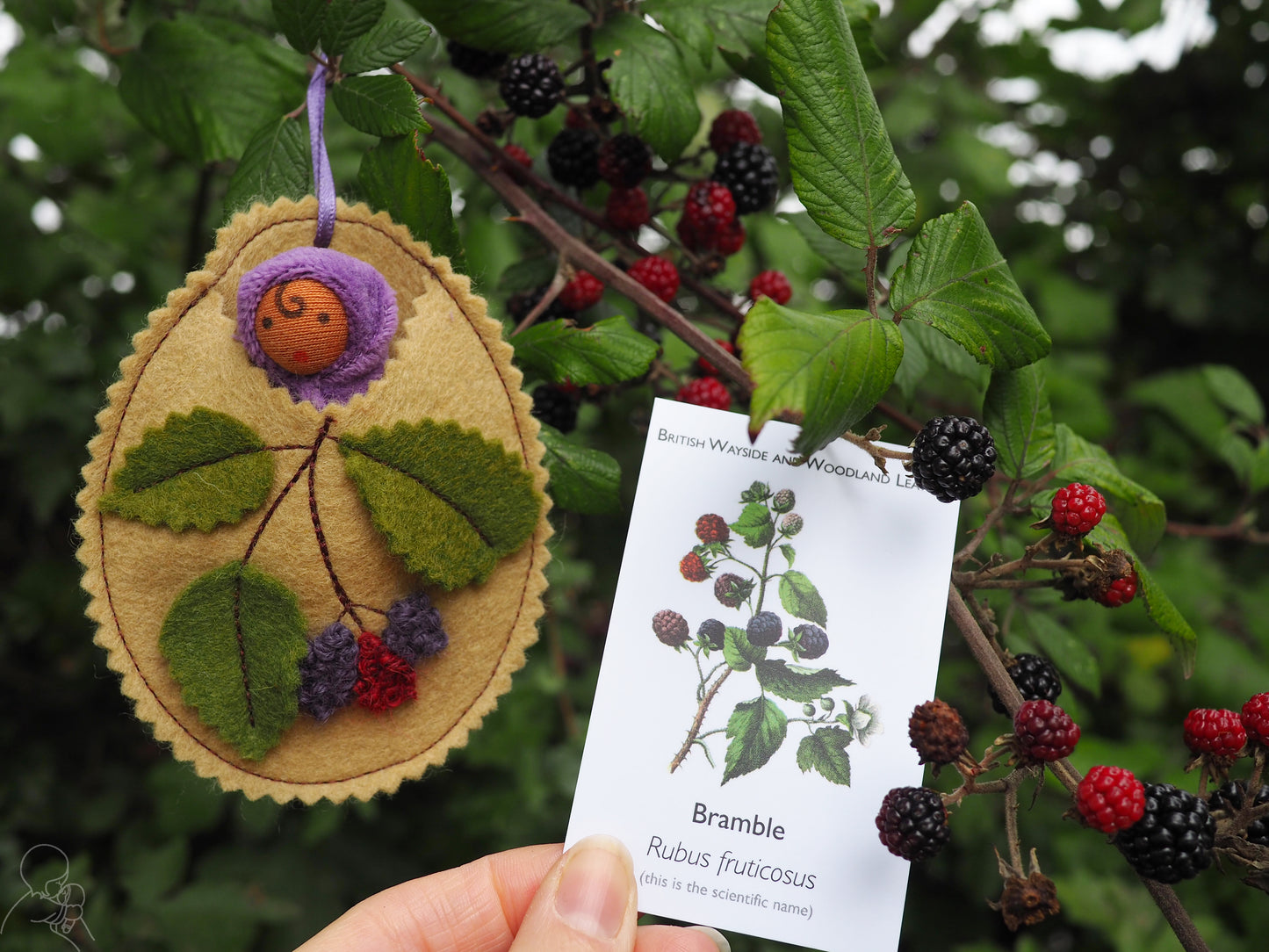 Bramble baby