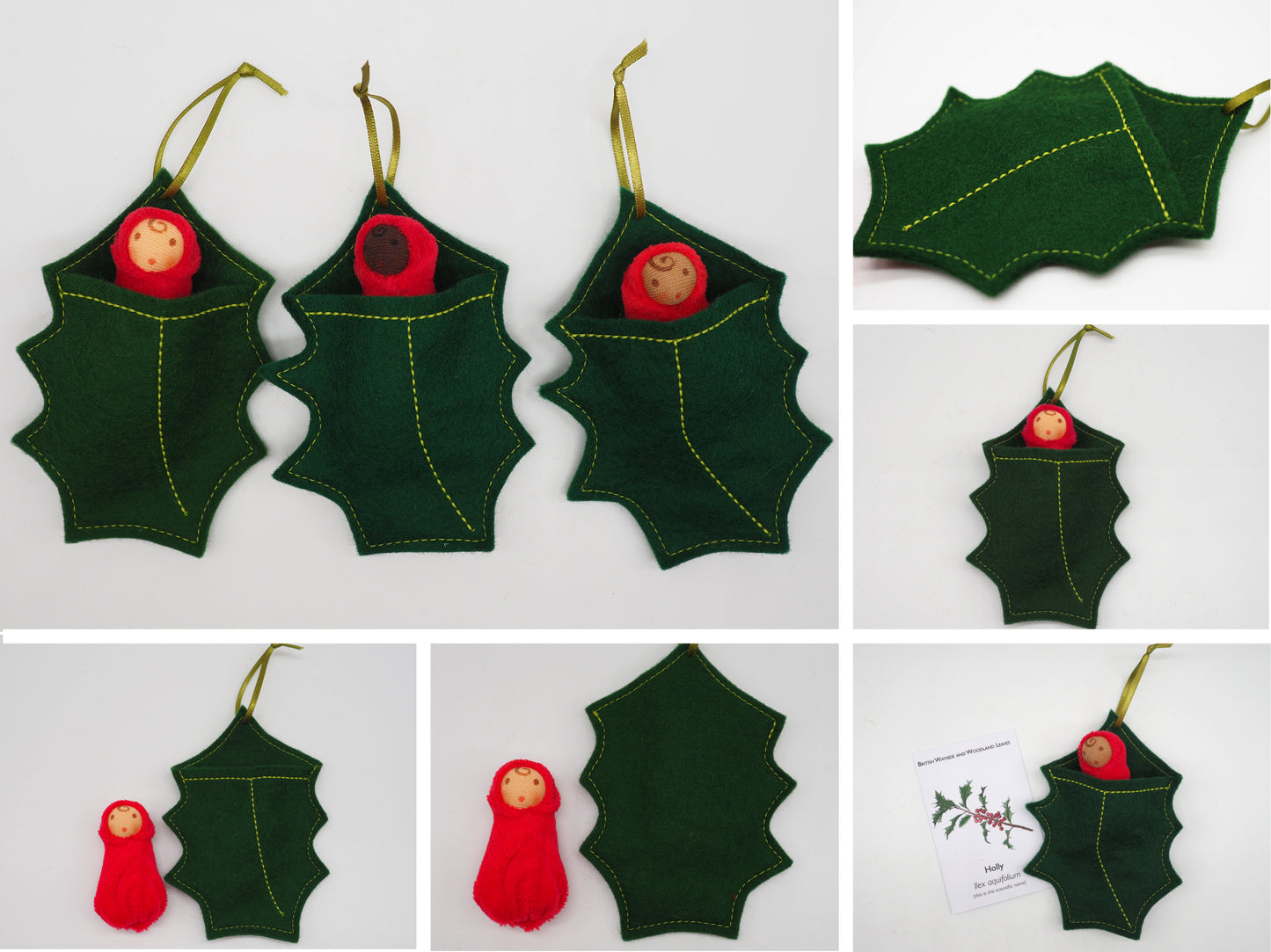 Holly leaf baby