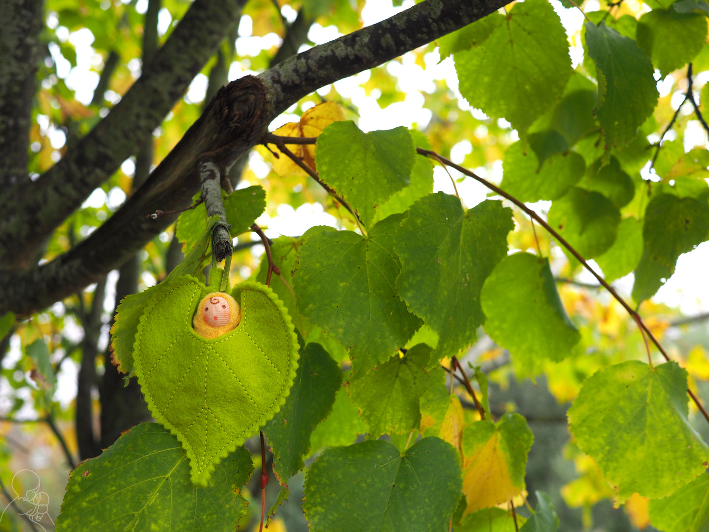 Lime leaf baby