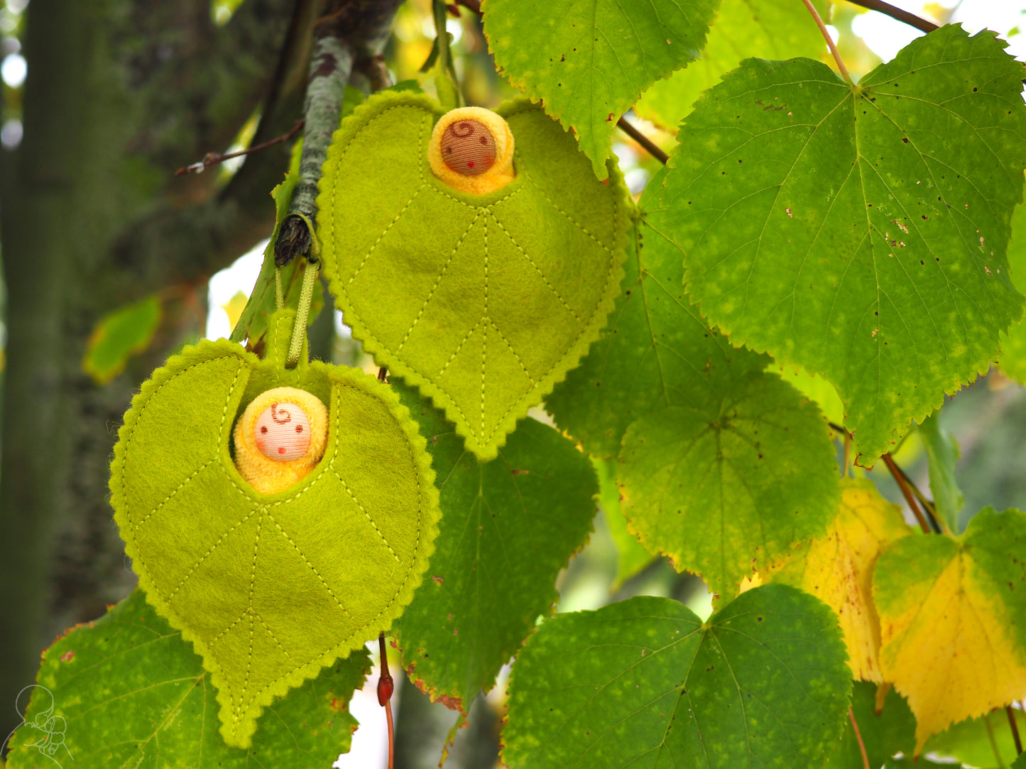 Lime leaf baby