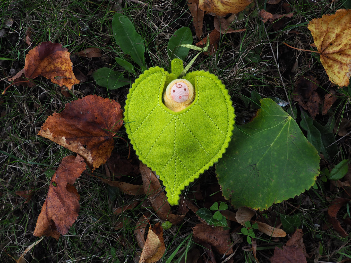 Lime leaf baby