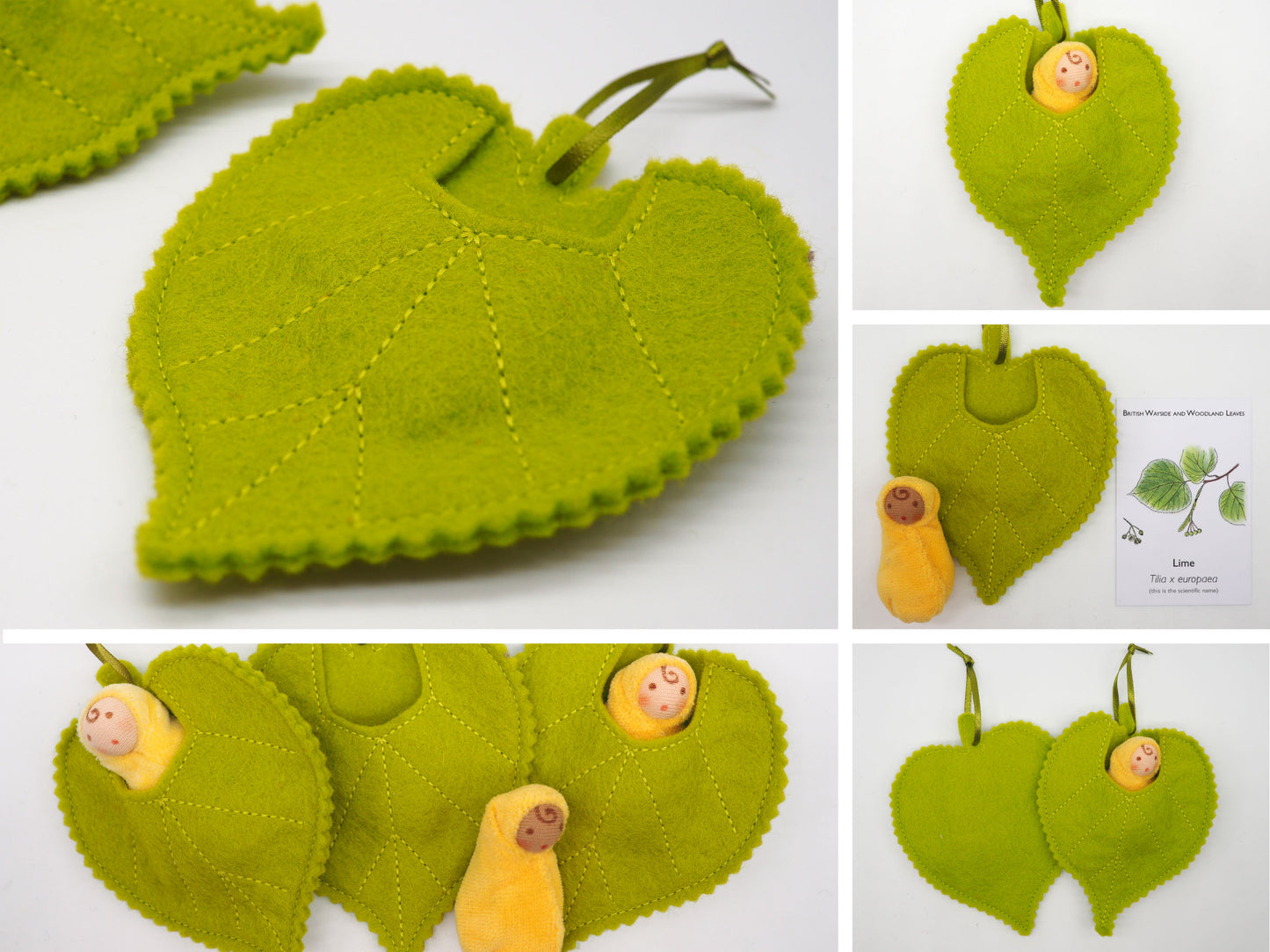 Lime leaf baby