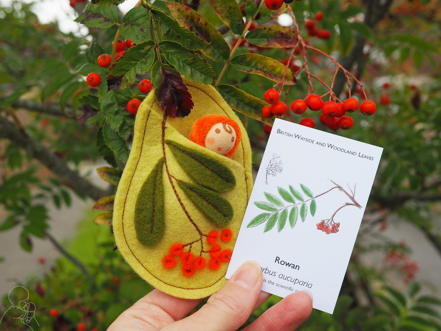 Rowan leaf baby