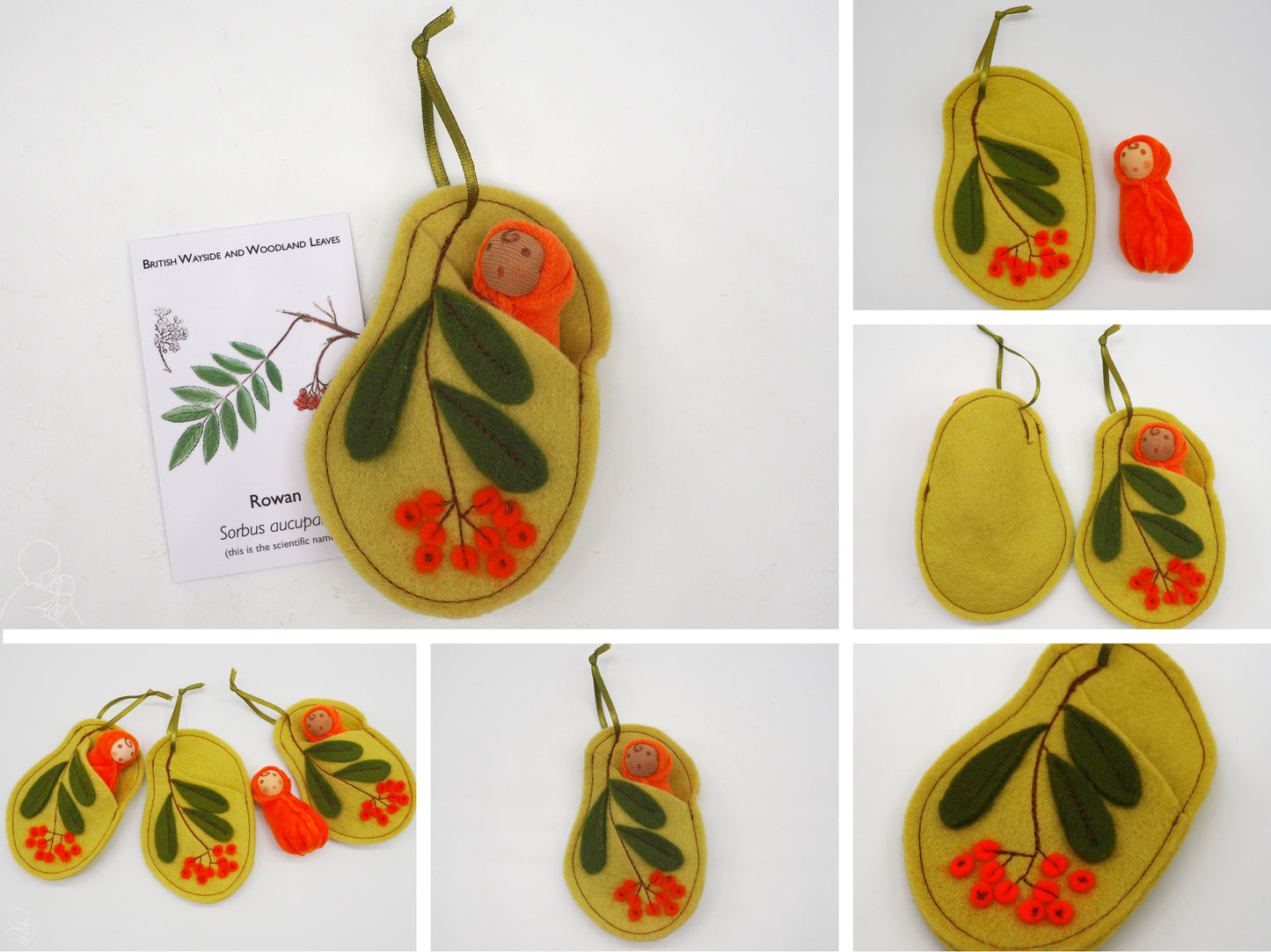 Rowan leaf baby