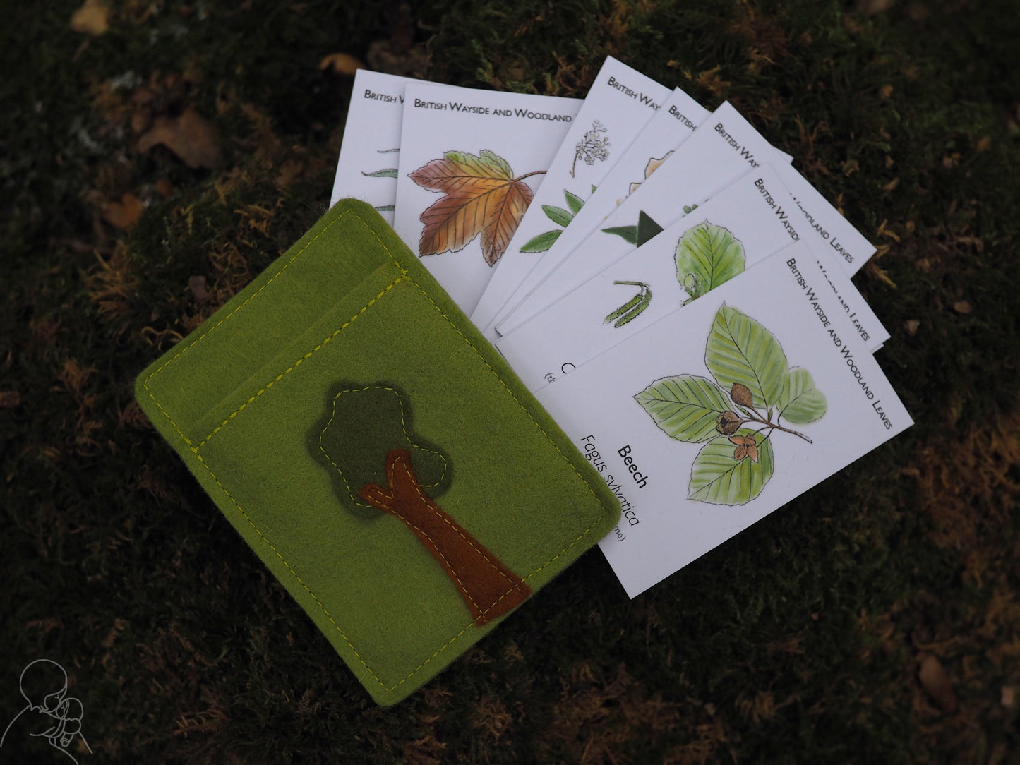 Leaf spotter cards
