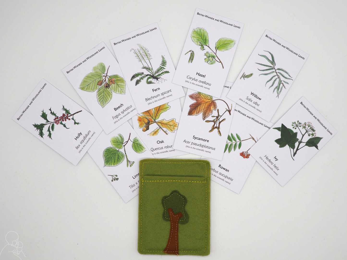 Leaf spotter cards