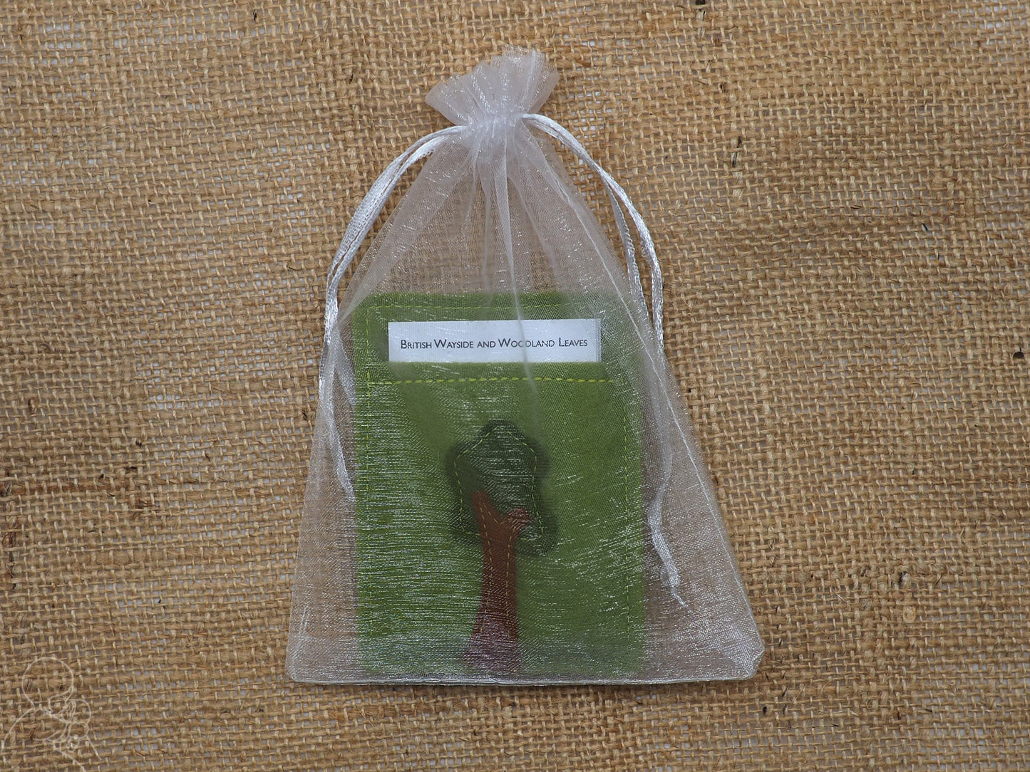 Leaf spotter cards