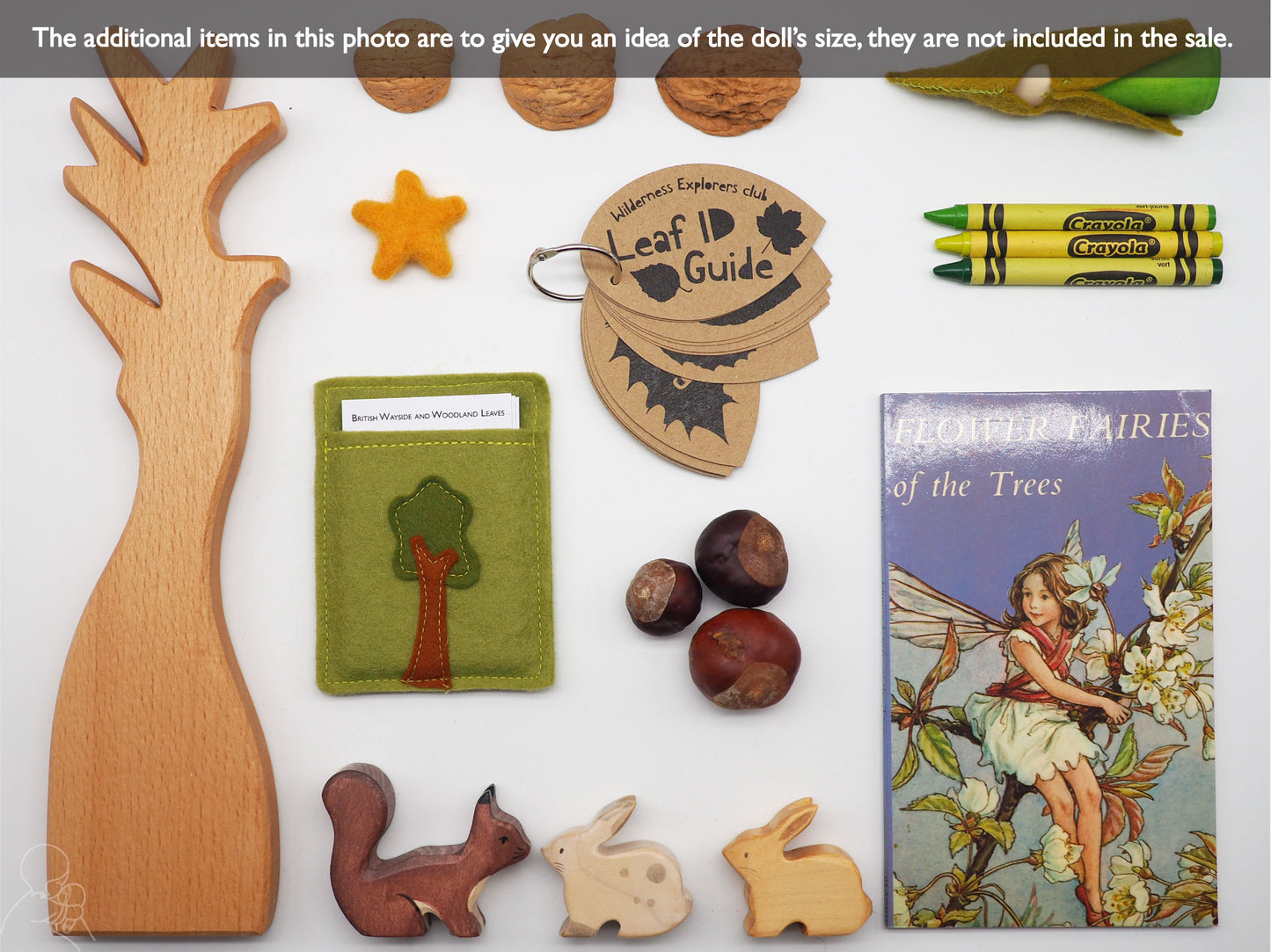 Leaf spotter cards