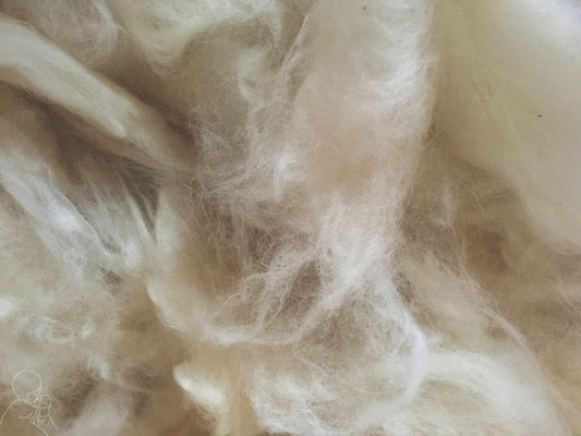 National Wool Week: why I love wool