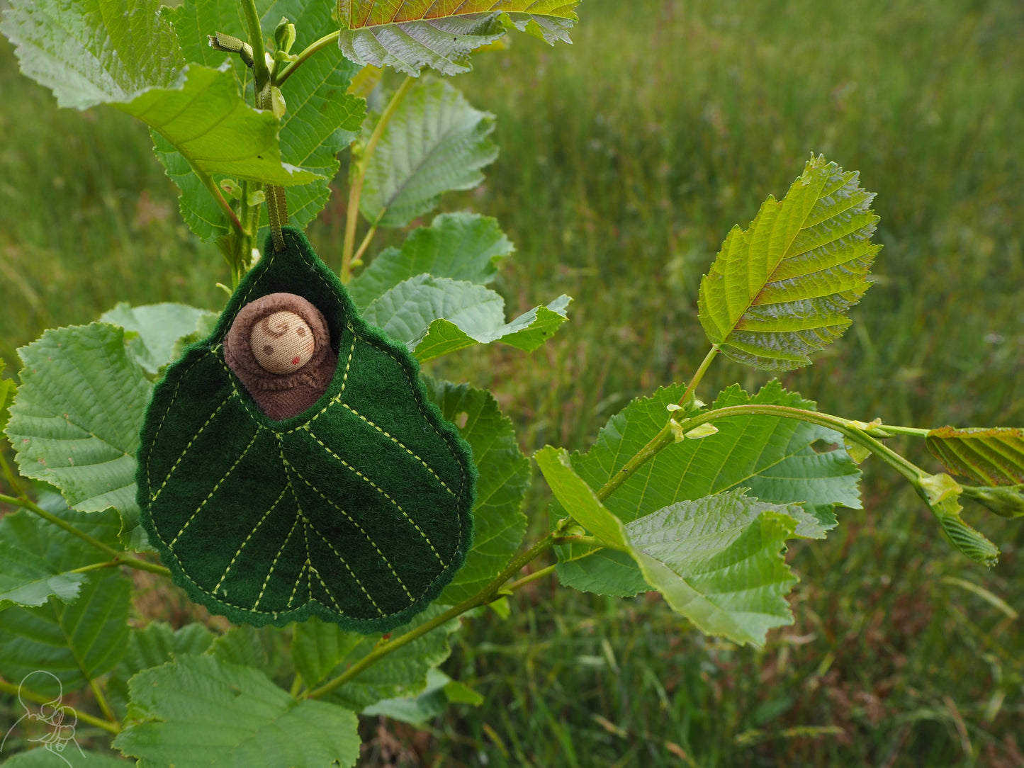 Alder leaf baby