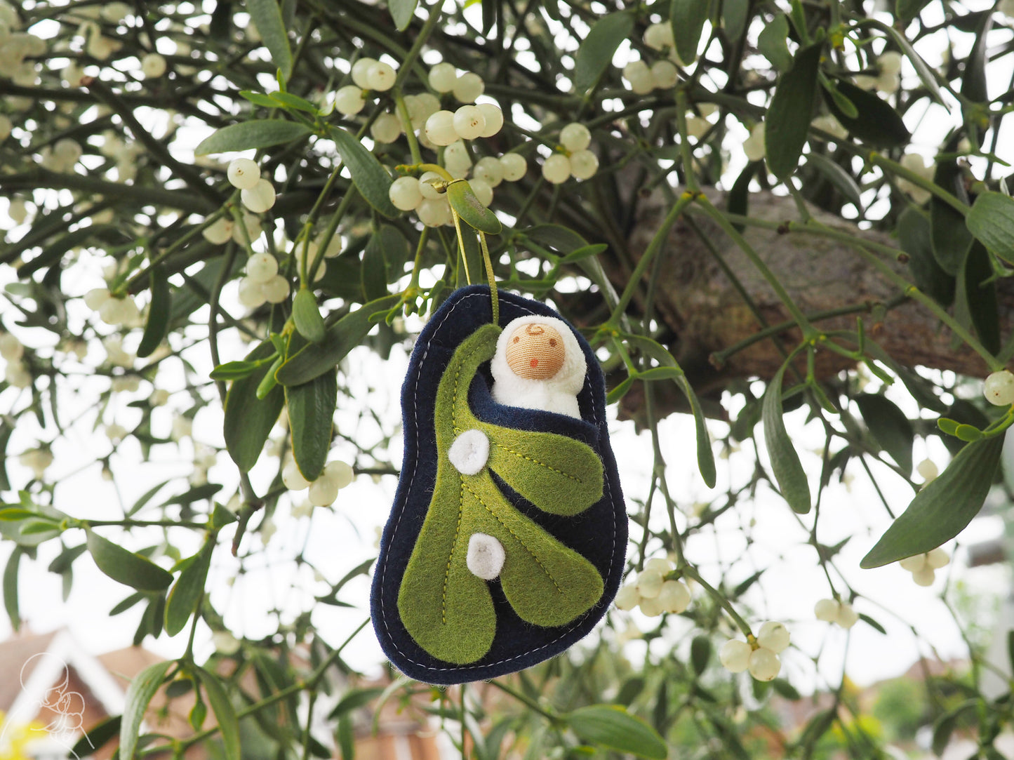 Mistletoe baby